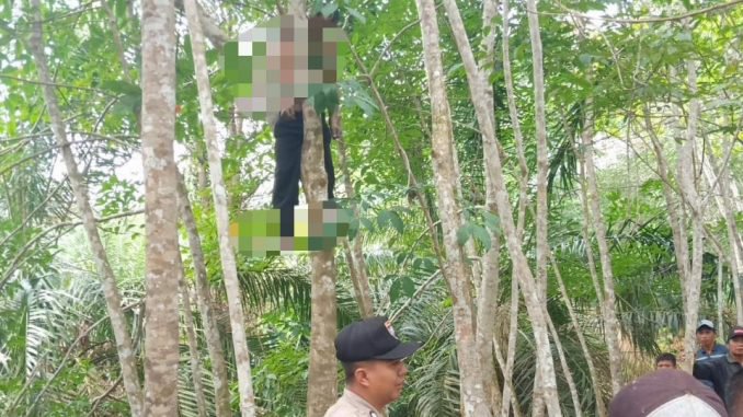 Pamit ke Keluarga, Parjiman Ditemukan Tewas Tergantung di Pohon Karet