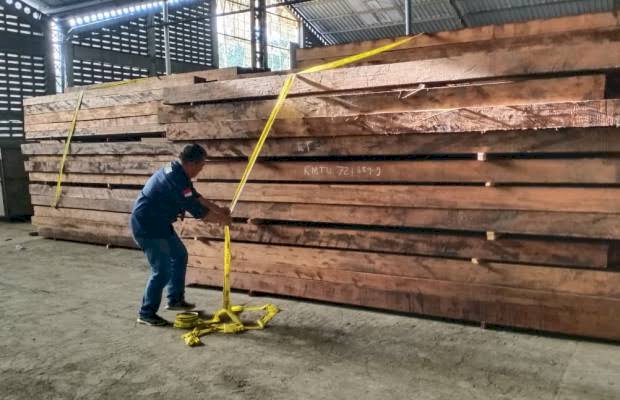 Begini Aksi KLHK Amankan 17 Kayu Merbau Illegal dari Pulau Seram