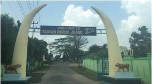 Dampak Kabut Asap 2019, PAD Taman Rimba Terancam Tak Capai Target