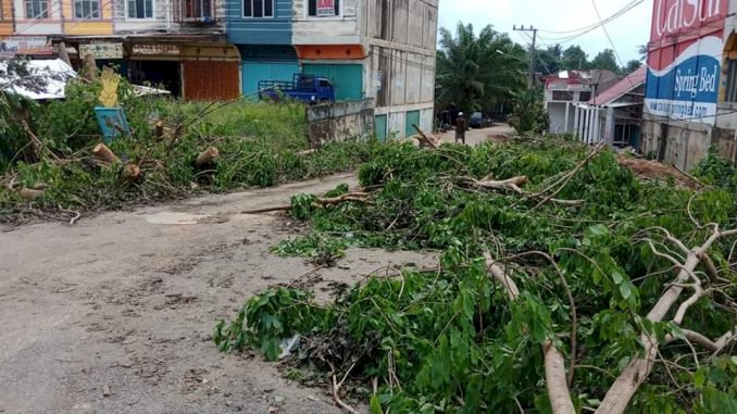 Lapor Pak Bupati! Dua Hari Sampah Pohon Dibiarkan Berserakan di Tepi Jalan Bungo