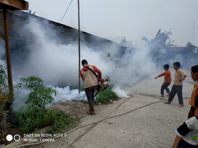 Ancaman DBD "Hantui" Masyarakat Tanjab Barat