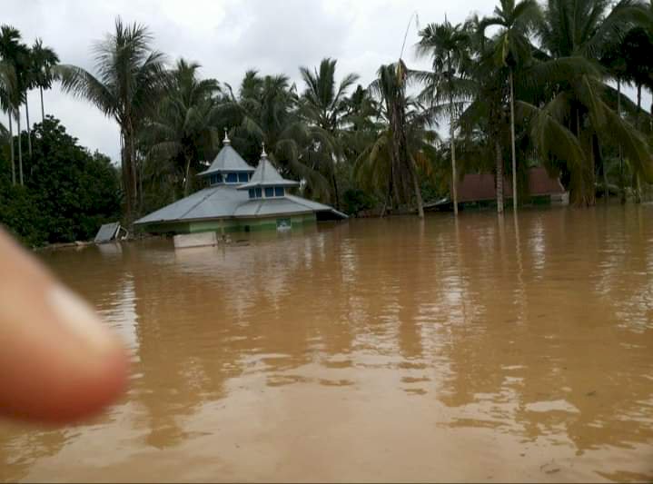Banjir Landa Desa Teluk Lancang Tebo Jambi, Puluhan Rumah Terendam Air