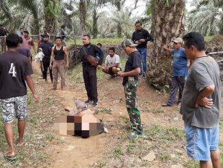 Kasus Dihentikan, Pelaku Pembacokan Tukang Sayur di Kumpeh Ulu Dinyatakan Gila