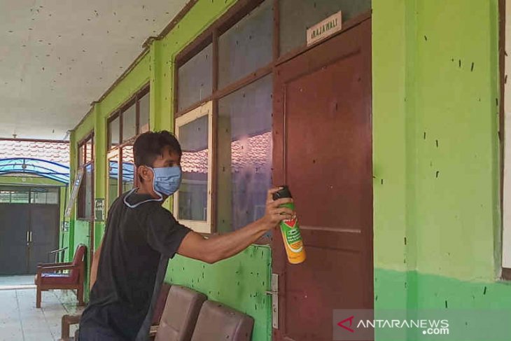 Ulat Bulu Serang Sekolah Luar Biasa Negeri di Cirebon