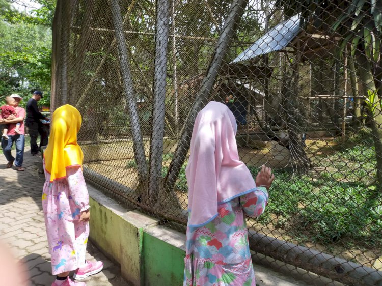 Yuk! Liburan Cocoknya di Taman Rimba Zoo, Bisa Edukasi Anak