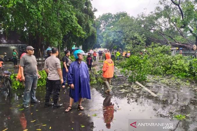 Puting Beliung Hantam Solo, Sejumlah Pohon Tumbang Timpa Mobil