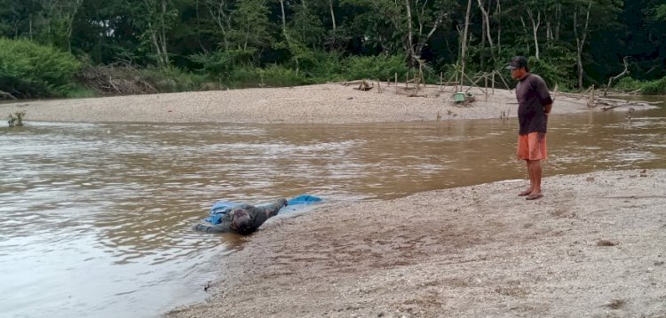 BREAKING NEWS! Warga Bungo Jambi Heboh Temukan Mayat Membusuk di Sungai