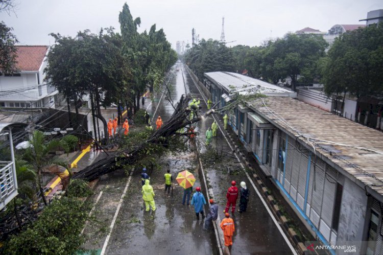 Banjir! Transjakarta Hentikan Layanan Bus Rute S11