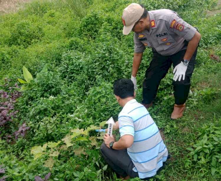 Security Bacok Humas PT IIS dengan Celurit Hingga Tewas, Ini Pemicunya?