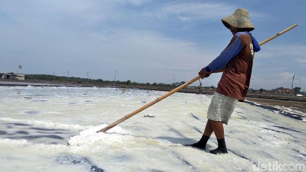 Bos Garam Curhat Harga Garam Indonesia Anjlok gara-gara Impor