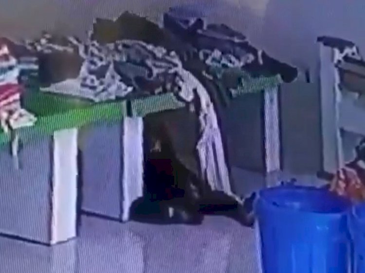 Horor! Pegawai RSUD Sampit Ditarik Mahluk Astral ke Bawah Meja dan Viral di Medsos