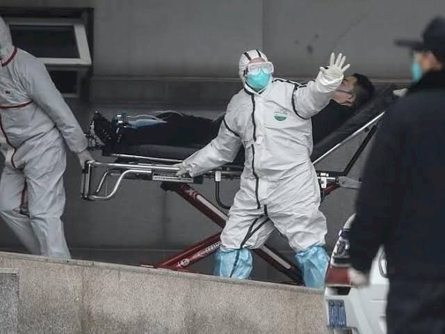 Heboh Virus Corona di Jambi, Ini Kata Kadinkes Provinsi Jambi