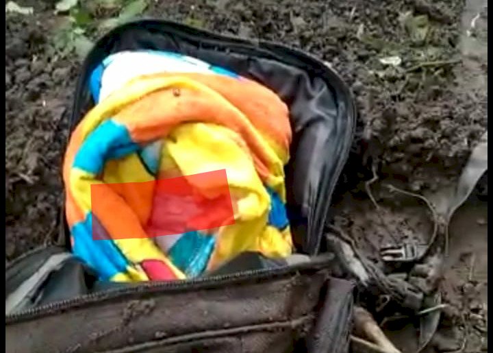 BREAKING NEWS! Warga Muarojambi Temukan Jasad Bayi dalam Tas Terkubur di Kebun Kelapa