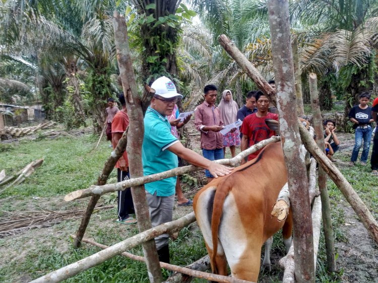 Disnakkan Sarolangun Prioritaskan Kesehatan Hewan, Begini Langkahnya