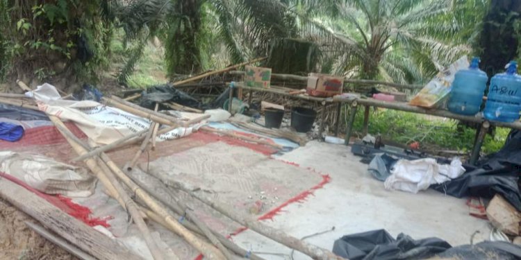 Kutuk Aksi 350 Sekuriti PT Asiatic Persada Gusur SAD, Warga Lapor ke Jokowi