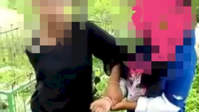 Begini Motif Terjadinya Bully ABG di Kerinci-Jambi