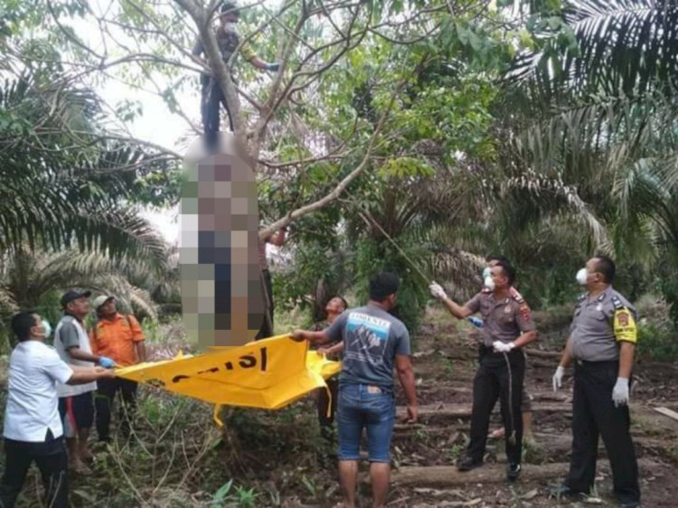 Ini Identitas Mayat Tergantung Yang Ditemukan Warga Tanjab Barat