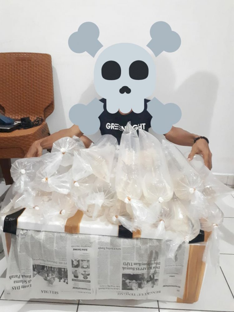 Satreskrim Polres Sarolangun Amankan Ribuan Benih Baby Lobster