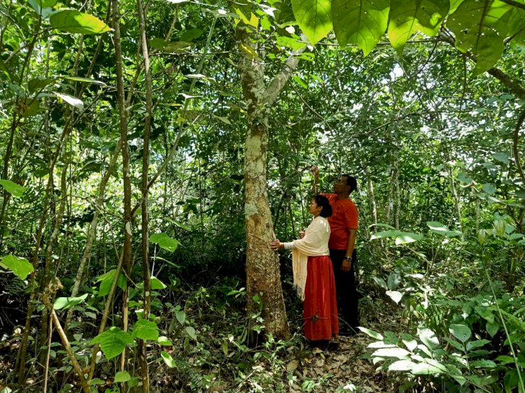 Wanita Muda Ini Ditemukan Suami dan Anaknya Tewas Tergantung di Pohon Karet