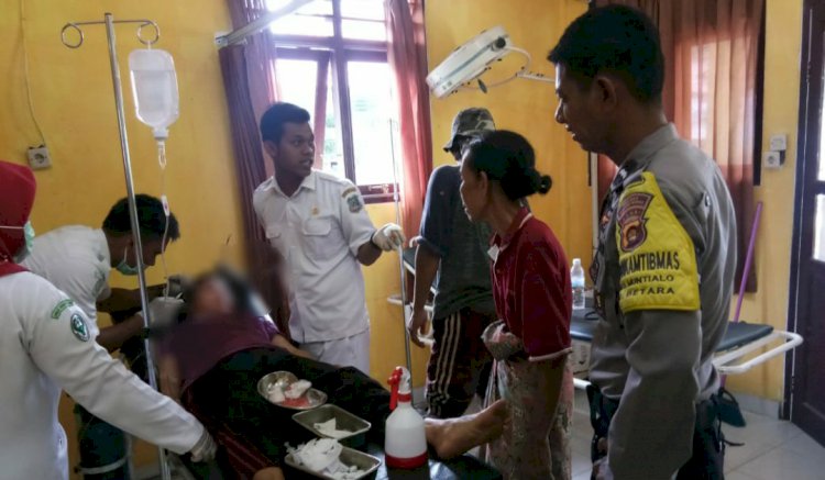 Sedang Manen Sawit, IRT di Tanjab Barat Ini Diserang Beruang