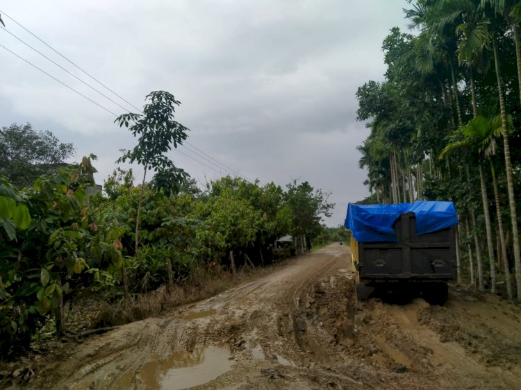 Pak Gubernur!! Puluhan Kilometer Jalan Provinsi di Muarojambi Rusak Parah