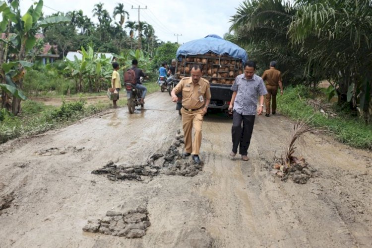 Fauzi: 29,41 KM Jalan Milik Pemprov di Wilayah Tanjabbar dalam Kondisi Mantap