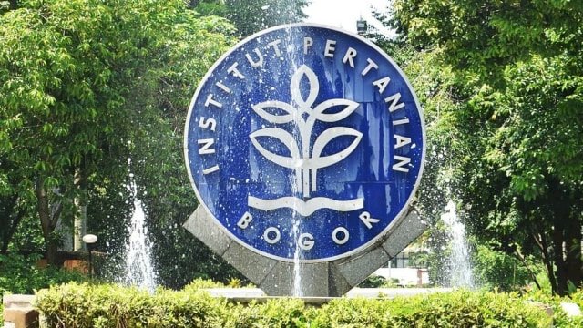 Walikota Bima Arya Sebut Satu Mahasiswa IPB Positif COVID-19: Sudah Dievakuasi ke Jakarta