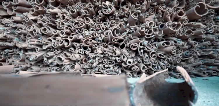 FILM DOKUMENTER JAMBI: Masyarakat Sungai Gelampeh Kerinci Tak Lagi Berladang di TNKS