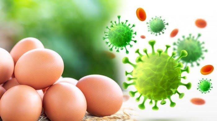 HOAKS! Bayi Baru Lahir Berbicara, Ajak Makan Telur Rebus untuk Cegah Virus Corona