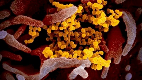 Empat Hari Dirawat, PDP Ini Meninggal Dunia