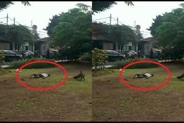 Pria Ini Tiba-tiba Terkapar, Suhu Tubuh Tinggi & Tak Ada Warga Berani Menolong